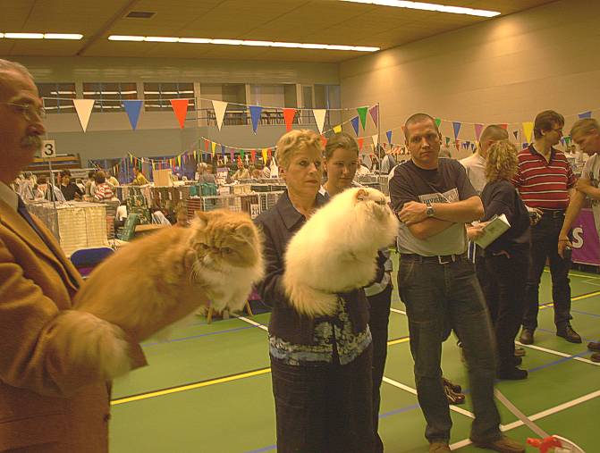 Schiedam Felikatshow 2003